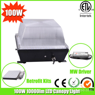 UL Driver Lm80 Chip 100W LED Parking Garage Lighting with CE RoHS Dlc Listed